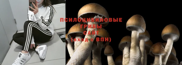 a pvp Коряжма