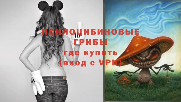 a pvp Коряжма