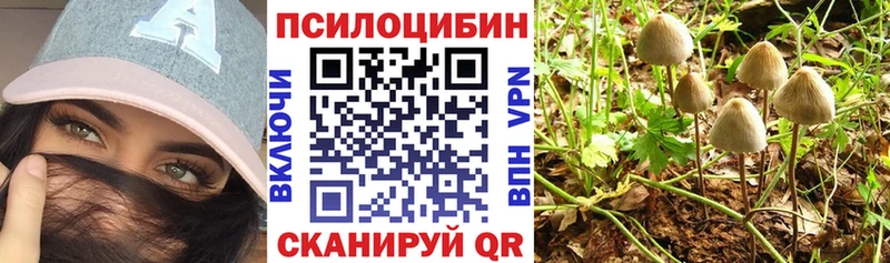 Галлюциногенные грибы GOLDEN TEACHER  Купить  Гремячинск 
